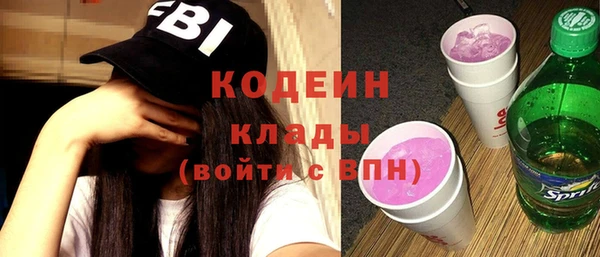 дживик Бородино