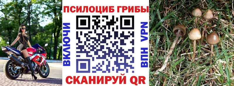 Купить закладки  Нязепетровск  Галлюциногенные грибы GOLDEN TEACHER 