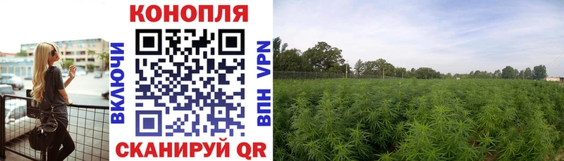 Бошки марихуана SATIVA & INDICA  Купить где  Нязепетровск 
